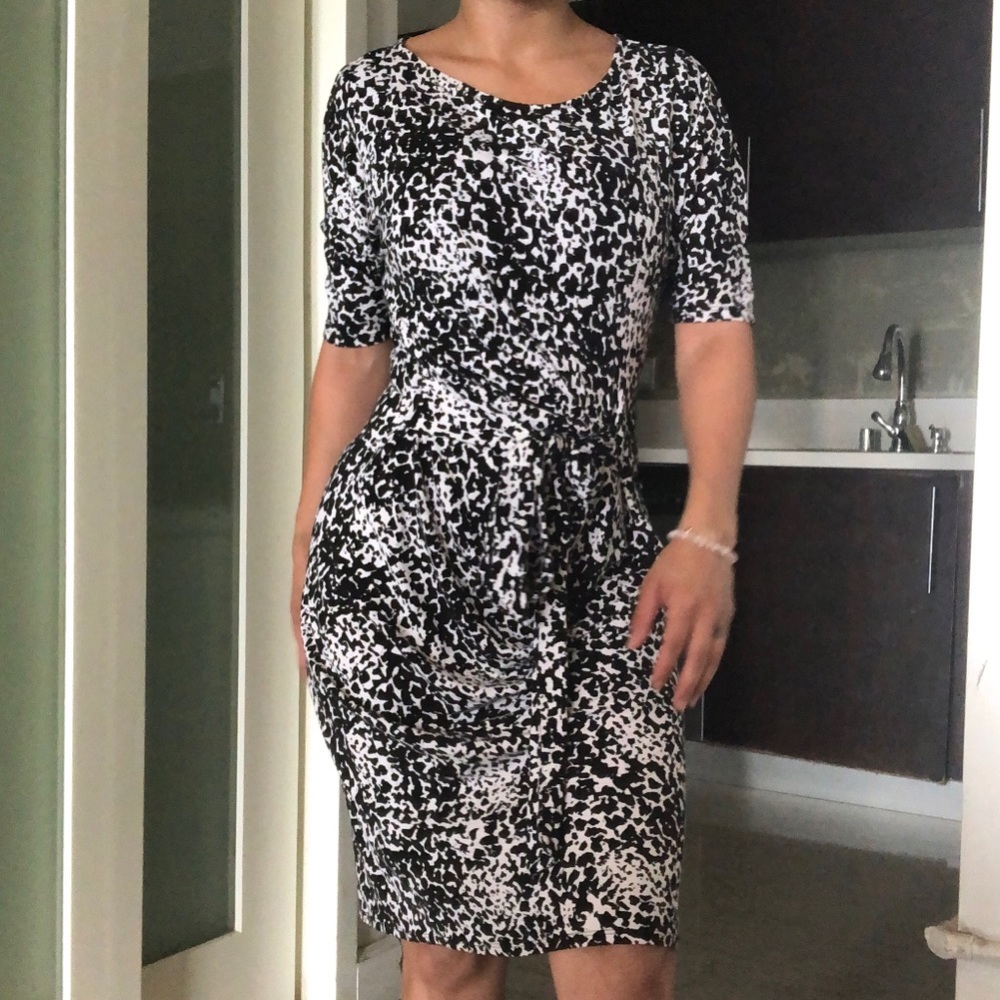 Ann Taylor Dress